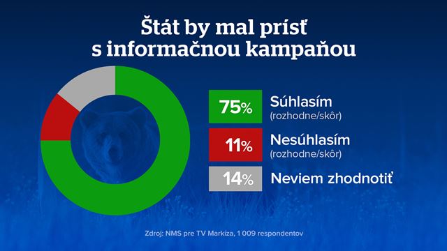 Slováci v tom majú jasno: Medveď do prírody patrí! Ale čo s tými, ktoré sa k ľuďom až priveľmi približujú?