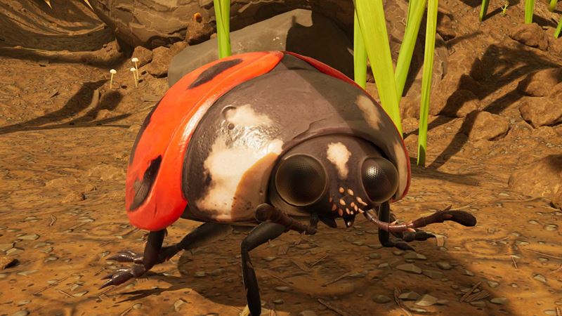 Grounded 2 rozšíri bezplatný update, pribudne nový biom a ďalší obsah