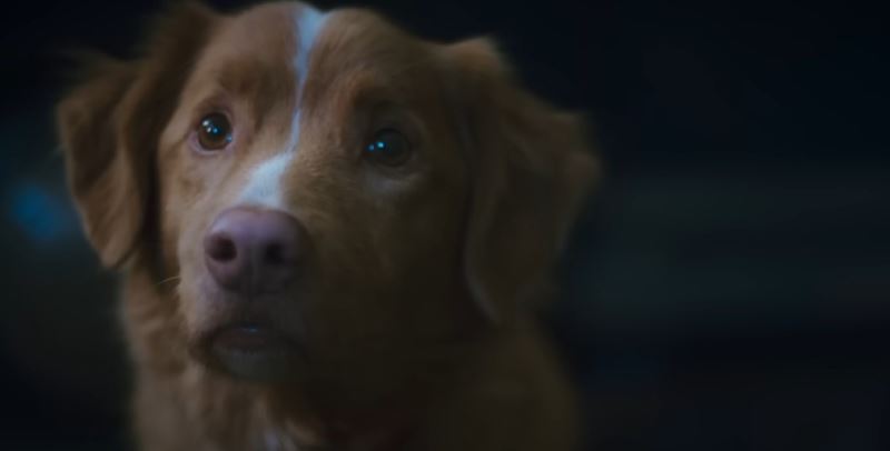 Čo sa udialo vo filmovom svete za posledné dni?