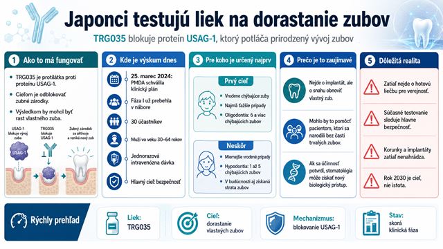 Japonci testujú liek, ktorý by mohol pomôcť ľuďom dorásť nové zuby