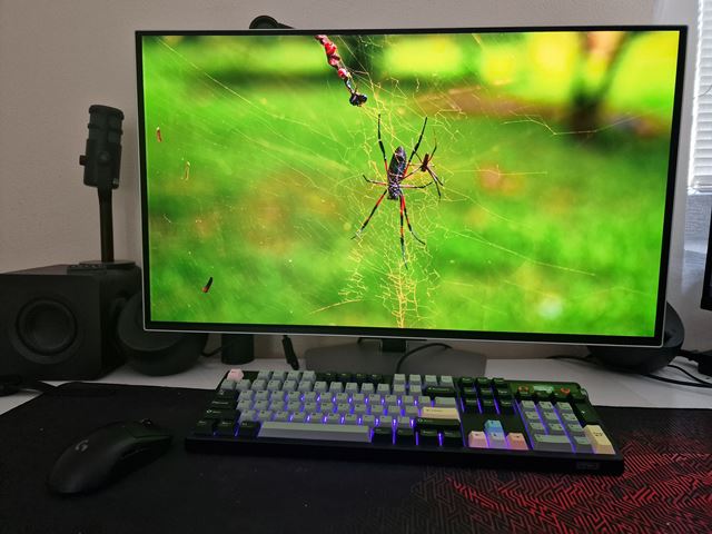 4K OLED a 240 Hz už nie sú prehnaná kombinácia