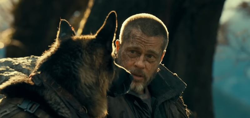 Brad Pitt a životom skúšaný nemecký ovčiak unikajú v thrilleri V srdci divočiny z pazúrov Aljašky