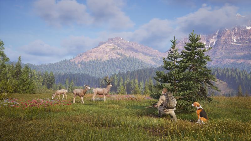 Slovenský Way of the Hunter 2 vychádza v plnej verzii, ponúka dve veľké lovecké oblasti