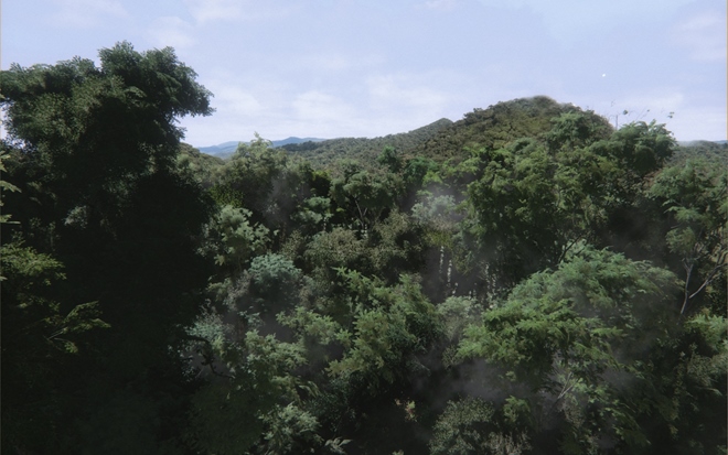 Pozrite sa na ndhern les vytvoren v Unreal Engine 4
