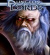 Dungeon Lords akn RPG