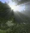 Rising World