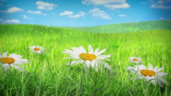 Goat Simulator - Xbox teaser