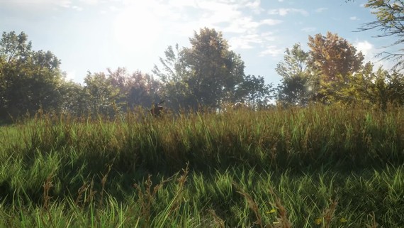 theHunter: Call of The Wild ukazuje trailer a plánuje betu