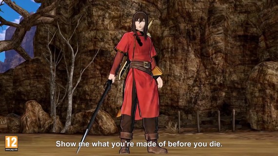 Fire Emblem Warriors - Navarre