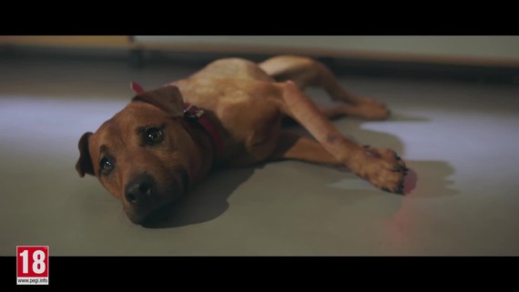 Far Cry 5 - Boomer - trailer