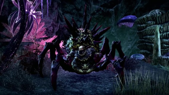 The Elder Scrolls Online: Summerset – Join the Psijic Order