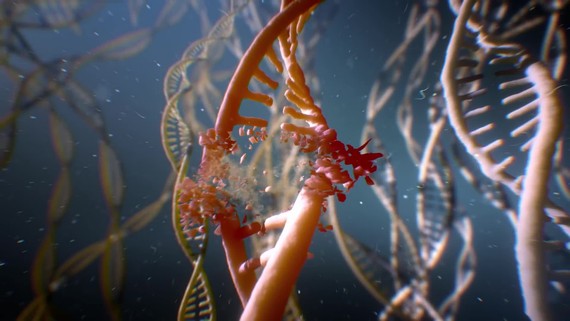 Mutant Year Zero: Road to Eden má dátum vydania