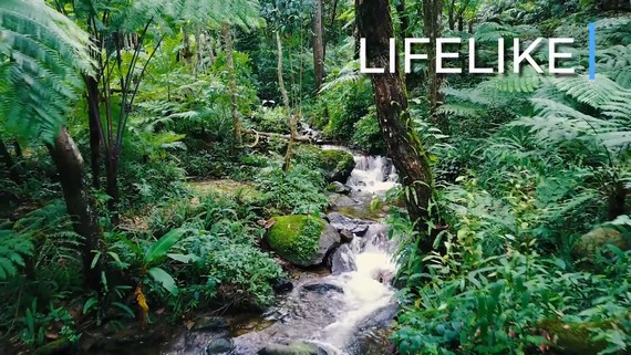 Evga Nu - Lifelike Audio