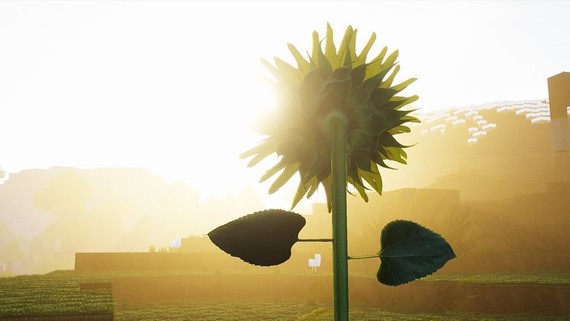 Minecraft - Rudy Photorealism pack