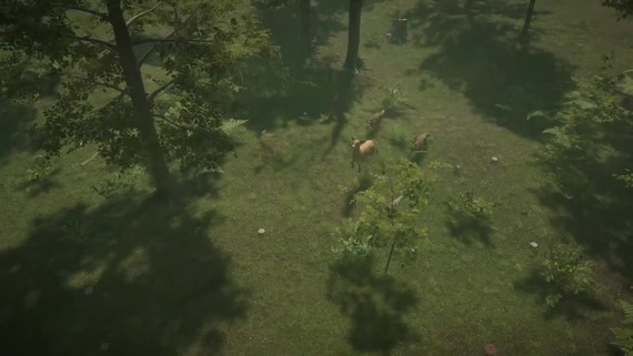 V Natural Instinct budete vies zvierat k preitiu