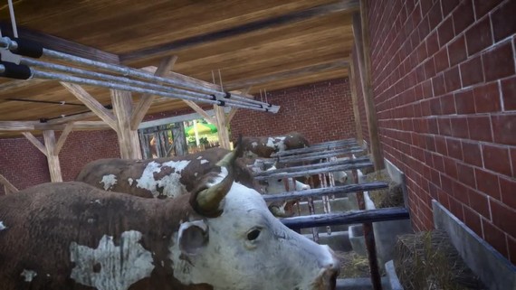 Farmers Dynasty naplno rozbehne rodinn farmu a plnuje aj prchod na konzoly