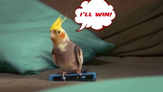 Blazing Beaks prinesie multiplayerov� �ialenstvo