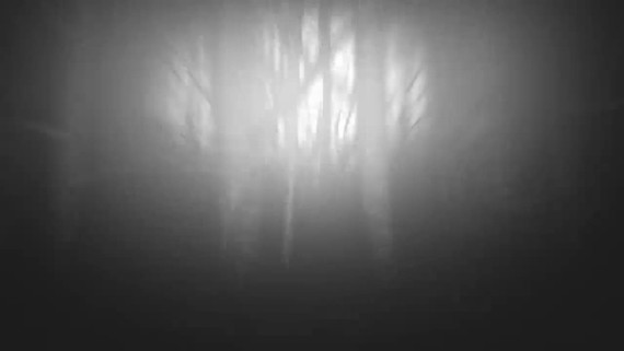 Survival horor Darkwood u vyiel aj na Switch