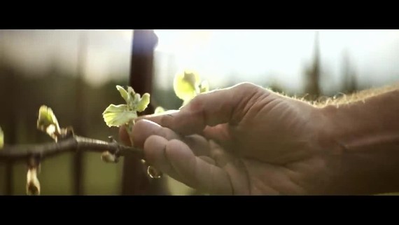 Star Trek: Picard ukazuje prv teaser