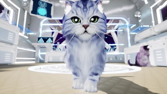 Kitten'd otvoril svet plný neposedných mačiek