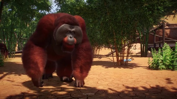 Planet Zoo rozbeha predobjedn�vky pon�ka nov� trailer