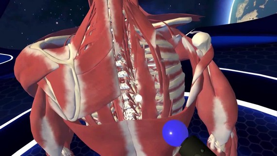 Human Anatomy VR prináša anatómiu ľudského tela na PS VR