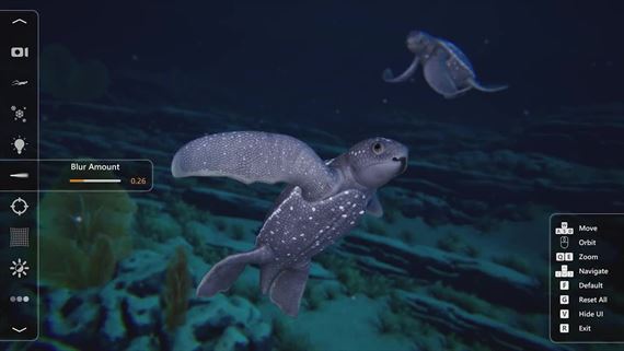 Podmorsk titul Beyond Blue dostal Photo reim