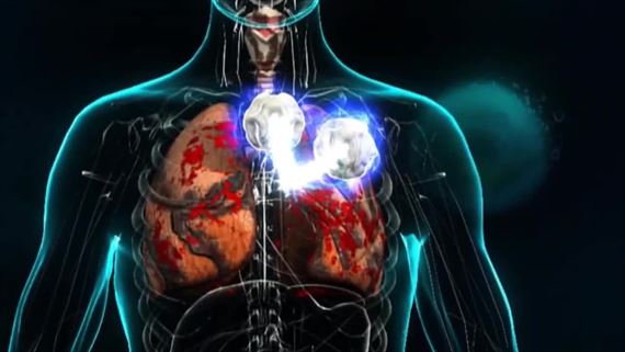 Simulačný titul Bio Inc. Redemption vyjde na mobiloch 8. decembra