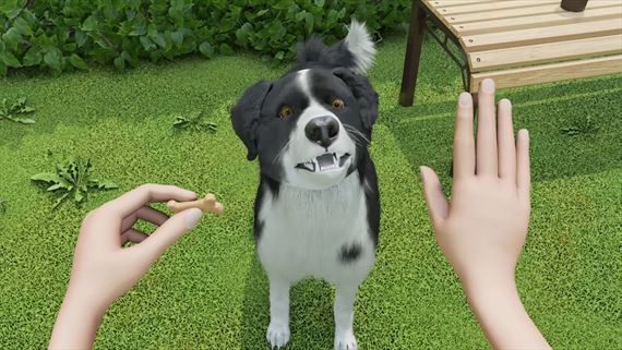 Dog Trainer predstaven, umon vm trnova psov