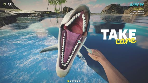 Máte radi delfíny? Môžete ich trénovať v Dolphin Trainer VR
