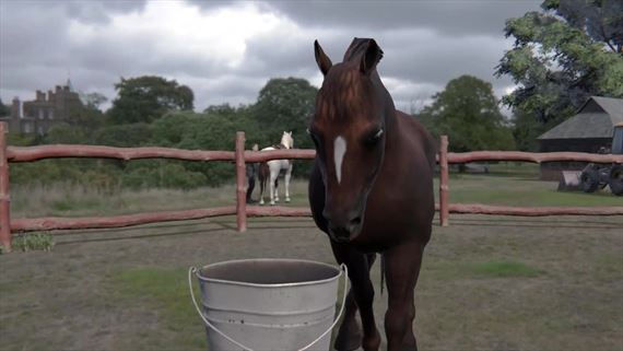 Animal Trainer bude cvii psy a kone