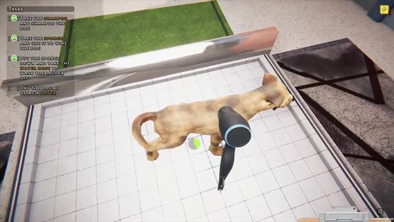 Animal Shelter dostane o tde prolg so zvieratkami