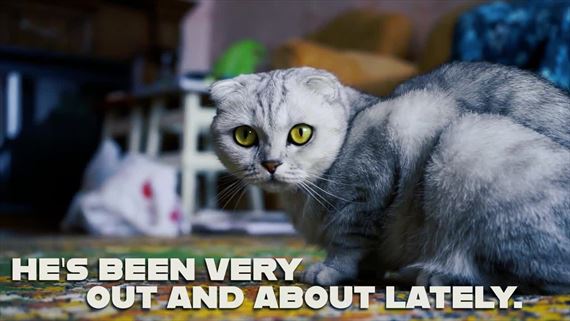 Advent�ra Inspector Waffles pr�de na Switch