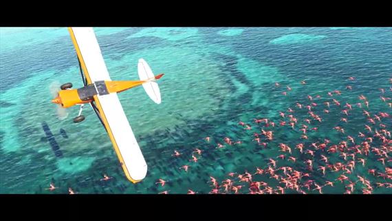 Flight Simulator pr�ve dostal Game of the Year ed�ciu