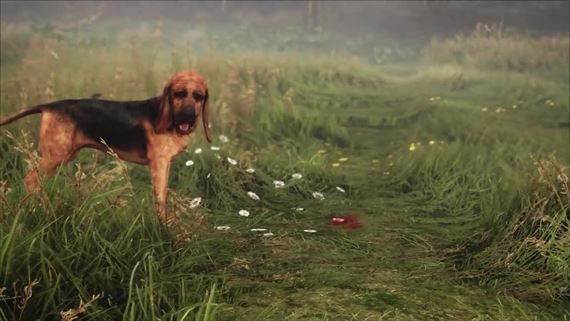 TheHunter: Call of the Wild dostane svojho prvho loveckho psa