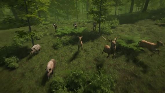 Natural Instincts vm v lete zver do rk osudy divokch zvierat