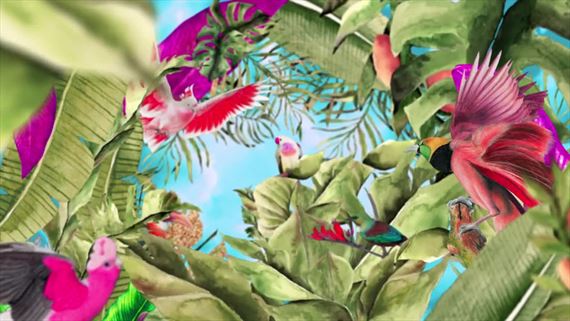 Wingspan predstavuje Oceania expanziu