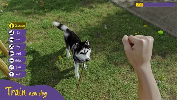 Animal Trainer Simulator ukazuje vcvik zvierat