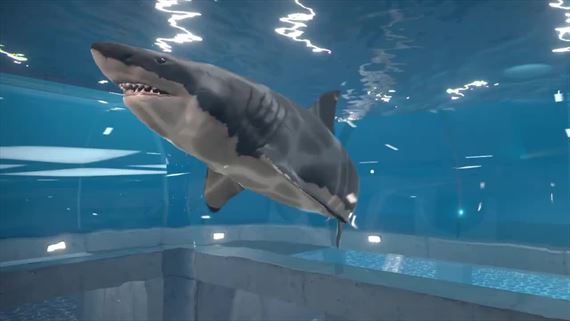 Aquarist otvoril svoj obchod s rybičkami