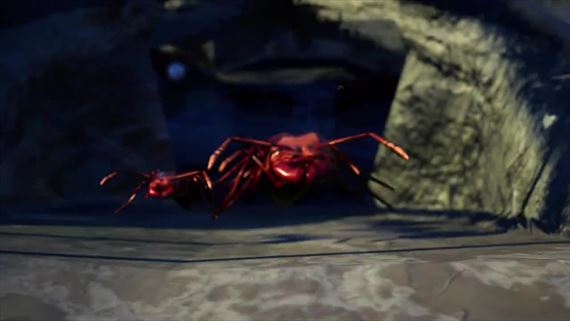 Empires of the Undergrowth sa pripravuje na prchod ervench mravcov