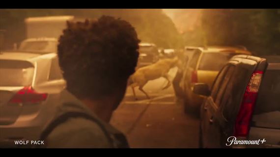 Wolf Pack - trailer na seriál