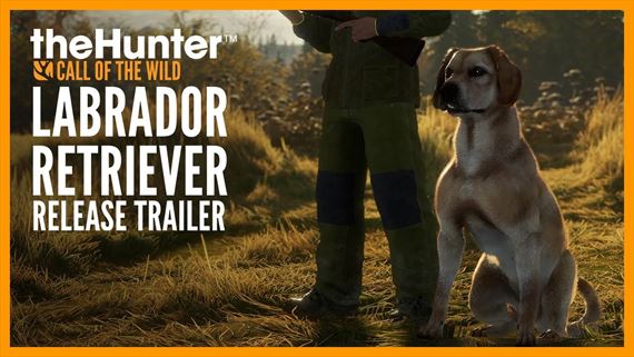 theHunter: Call of the Wild dostal oddanho labradora
