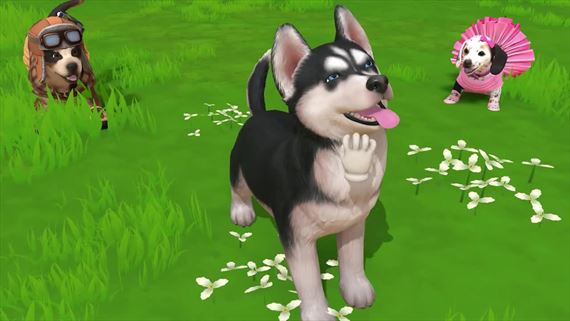 Little Friends: Puppy Island otvor ostrov pln malch ufikov