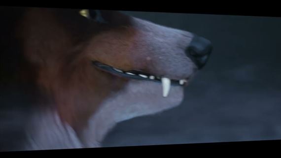Barkour z vás spraví štvornohého špeciálneho agenta