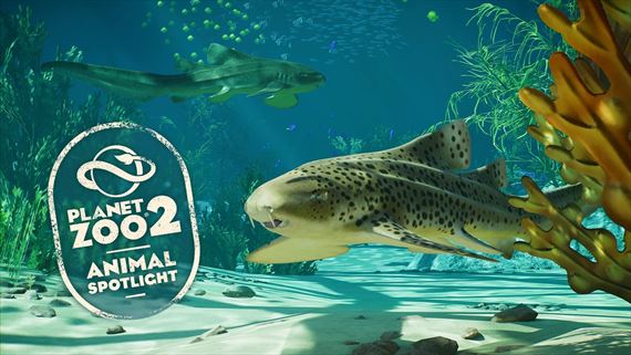 Planet Zoo 2 ukazuje �raloka zebrovit�ho