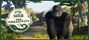 Video: Planet Zoo 2 ukazuje mo�nosti stavania a kreativity vo va�ej Zoo