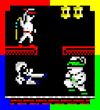 Kung-fu Bruce: The Legend Continues box art