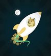 Doge Moon Launch box art