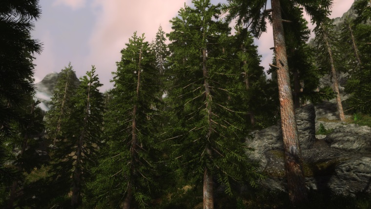 Skyrim s novým modom ukazuje realistické 3D stromy a flóru