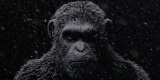 Planta opc dostva hern spracovanie v titule Planet of the Apes: Last Frontier 